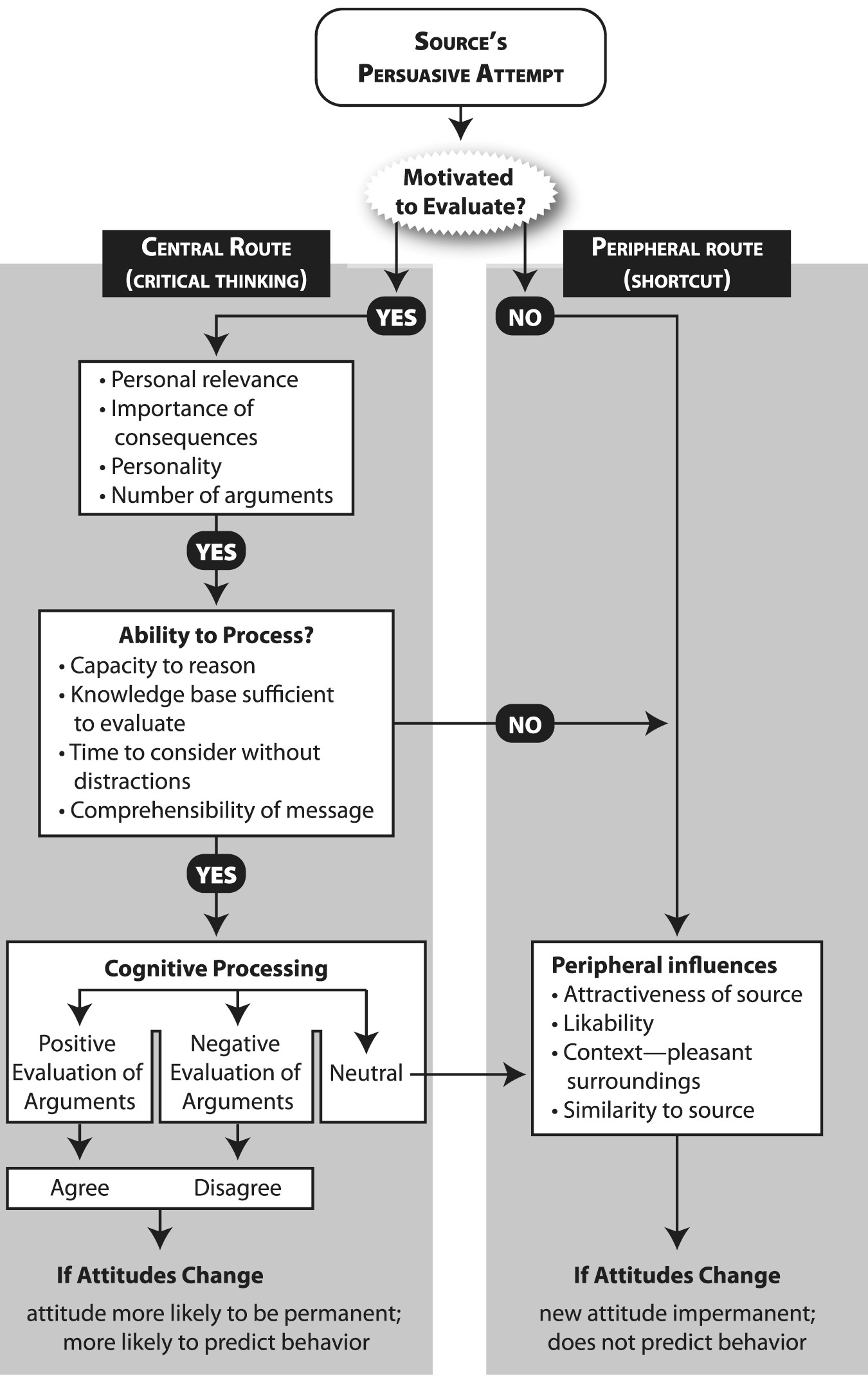 elm theory model | The Perfect Response